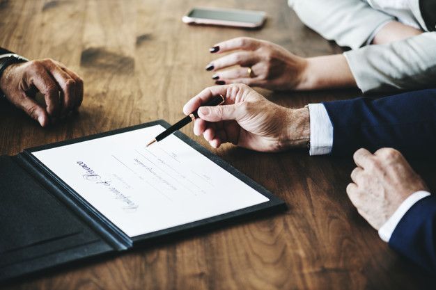What do the key figures in the IT sector think about the new Knowledge Economy Law?